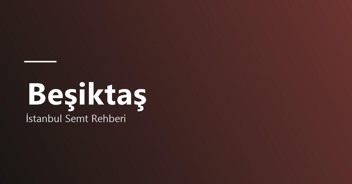 Beşiktaş bölge tanıtım görseli