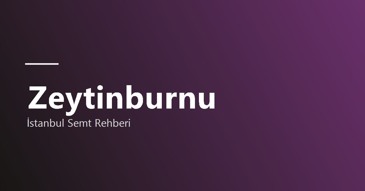 Zeytinburnu bölge tanıtım görseli